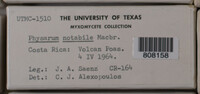 Image Associated With the Occurence